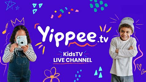 yupptv live|yippee tv live.